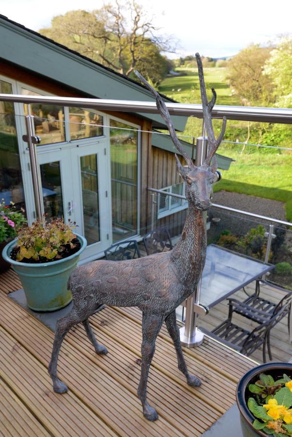 Black Burn Lodge B&B Newcastleton Exterior foto